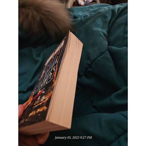 Death lands vengeance trail by James Axler gold eagle books - Picture 5 of 5